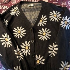 Hollister Daisy Cardigan